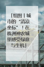 组图丨城市的“清凉坐标”！在株洲神农城里感受绿意与生机