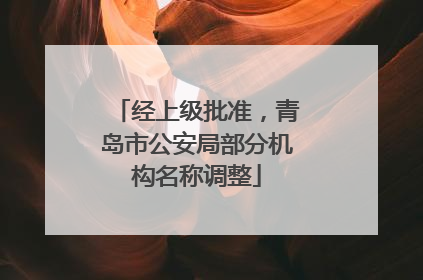 经上级批准，青岛市公安局部分机构名称调整