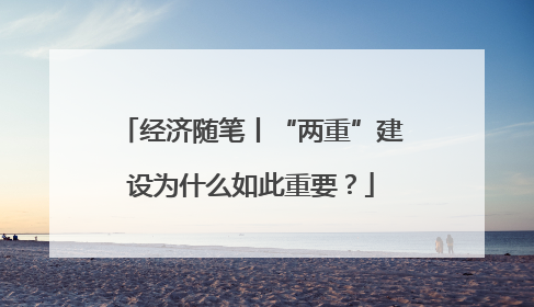 经济随笔丨“两重”建设为什么如此重要？