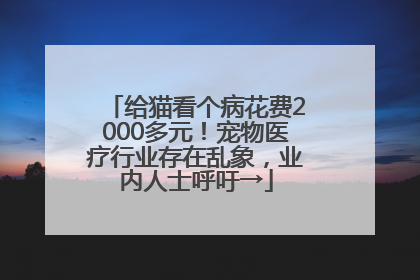 给猫看个病花费2000多元！宠物医疗行业存在乱象，业内人士呼吁→