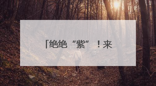绝绝“紫”！来郧西县赴一场“莫奈花园”的浪漫