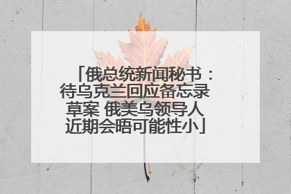 俄总统新闻秘书：待乌克兰回应备忘录草案 俄美乌领导人近期会晤可能性小