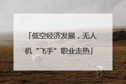 低空经济发展，无人机“飞手”职业走热