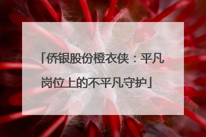侨银股份橙衣侠：平凡岗位上的不平凡守护