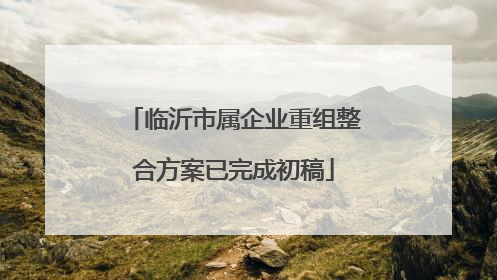 临沂市属企业重组整合方案已完成初稿
