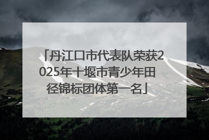 丹江口市代表队荣获2025年十堰市青少年田径锦标团体第一名