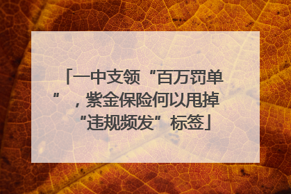 一中支领“百万罚单”，紫金保险何以甩掉“违规频发”标签