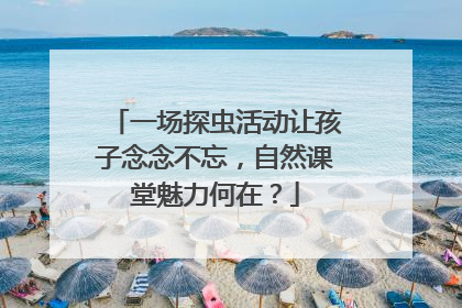 一场探虫活动让孩子念念不忘，自然课堂魅力何在？