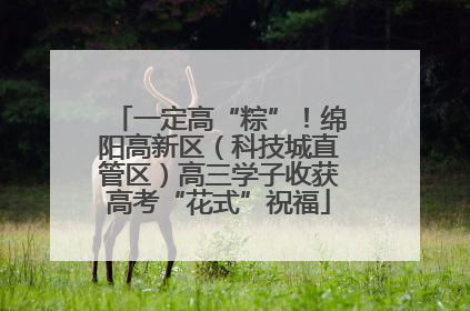 一定高“粽”！绵阳高新区（科技城直管区）高三学子收获高考“花式”祝福