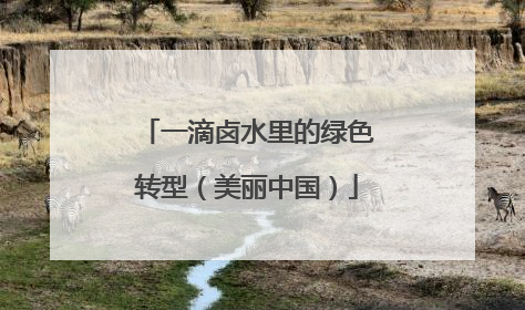 一滴卤水里的绿色转型（美丽中国）