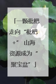 一颗枇杷走向“枇杷+” 山海资源成为“聚宝盆”