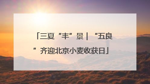 三夏“丰”景｜“五良”齐迎北京小麦收获日