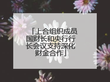 上合组织成员国财长和央行行长会议支持深化财金合作