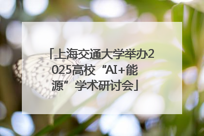 上海交通大学举办2025高校“AI+能源”学术研讨会