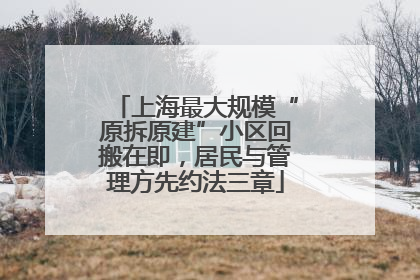 上海最大规模“原拆原建”小区回搬在即，居民与管理方先约法三章