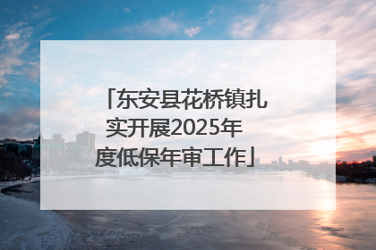 东安县花桥镇扎实开展2025年度低保年审工作