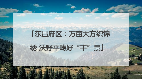 东昌府区：万亩大方织锦绣 沃野平畴好“丰”景