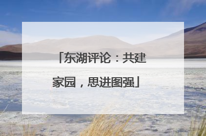 东湖评论：共建家园，思进图强