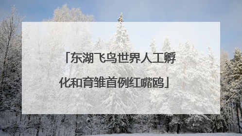 东湖飞鸟世界人工孵化和育雏首例红嘴鸥