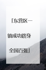 东营区一镇成功跻身全国百强