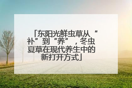 东阳光鲜虫草从“补”到“养”，冬虫夏草在现代养生中的新打开方式