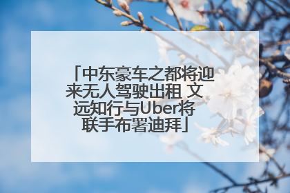 中东豪车之都将迎来无人驾驶出租 文远知行与Uber将联手布署迪拜