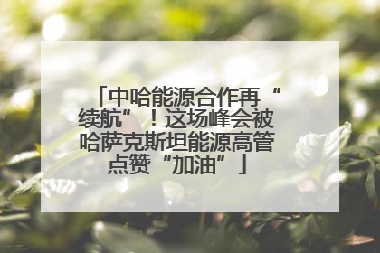 中哈能源合作再“续航”！这场峰会被哈萨克斯坦能源高管点赞“加油”