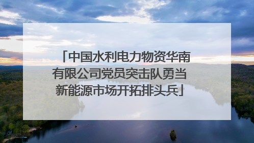 中国水利电力物资华南有限公司党员突击队勇当新能源市场开拓排头兵
