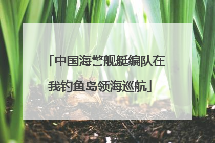 中国海警舰艇编队在我钓鱼岛领海巡航