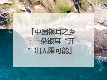 中国银耳之乡：一朵银耳“开”出无限可能