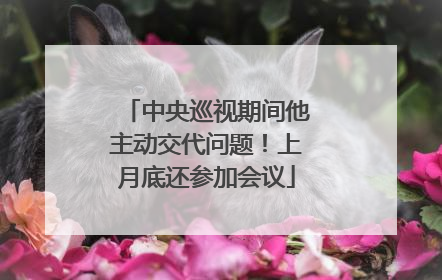 中央巡视期间他主动交代问题！上月底还参加会议