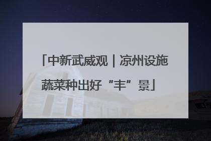 中新武威观｜凉州设施蔬菜种出好“丰”景