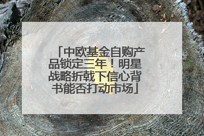 中欧基金自购产品锁定三年！明星战略折戟下信心背书能否打动市场
