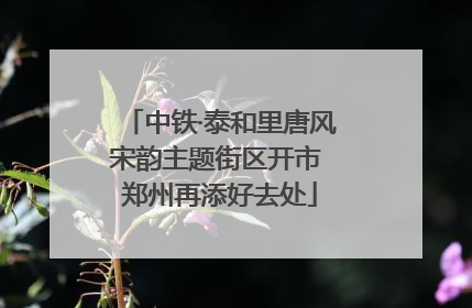 中铁·泰和里唐风宋韵主题街区开市 郑州再添好去处