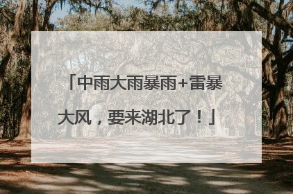 中雨大雨暴雨+雷暴大风，要来湖北了！