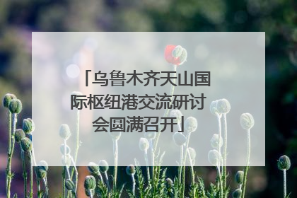 乌鲁木齐天山国际枢纽港交流研讨会圆满召开