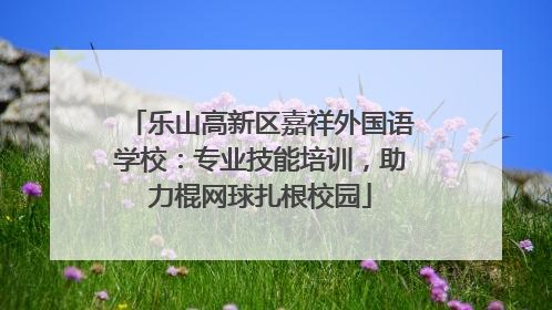乐山高新区嘉祥外国语学校：专业技能培训，助力棍网球扎根校园