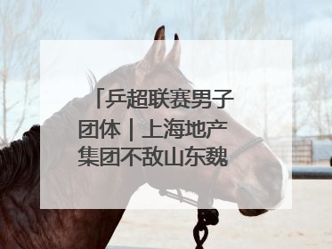 乒超联赛男子团体｜上海地产集团不敌山东魏桥·向尚运动
