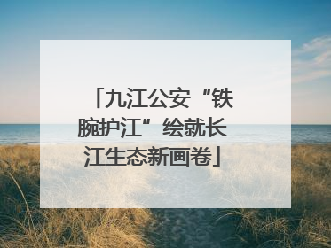 九江公安“铁腕护江”绘就长江生态新画卷