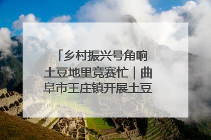 乡村振兴号角响 土豆地里竞赛忙｜曲阜市王庄镇开展土豆收获劳动竞赛