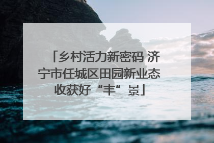 乡村活力新密码 济宁市任城区田园新业态收获好“丰”景