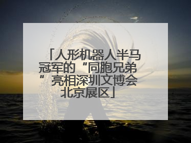 人形机器人半马冠军的“同胞兄弟”亮相深圳文博会北京展区