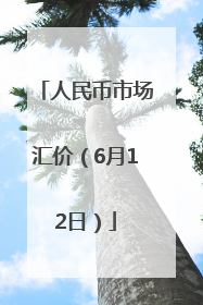 人民币市场汇价（6月12日）