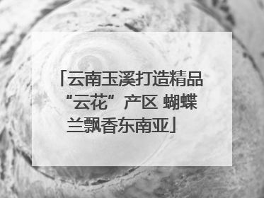 云南玉溪打造精品“云花”产区 蝴蝶兰飘香东南亚