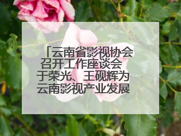 云南省影视协会召开工作座谈会 于荣光、王砚辉为云南影视产业发展出谋划策