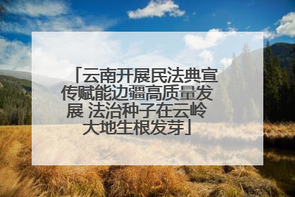 云南开展民法典宣传赋能边疆高质量发展 法治种子在云岭大地生根发芽