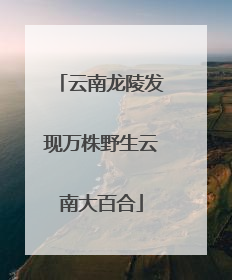 云南龙陵发现万株野生云南大百合