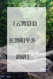 云霄县县长到和平乡调研