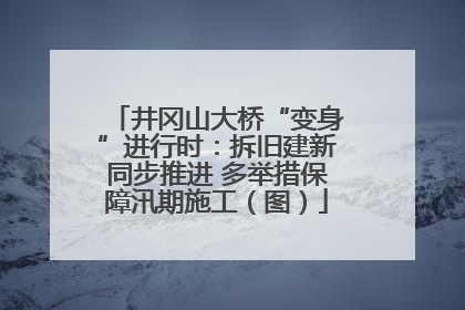 井冈山大桥“变身”进行时：拆旧建新同步推进 多举措保障汛期施工（图）