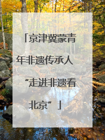 京津冀蒙青年非遗传承人“走进非遗看北京”